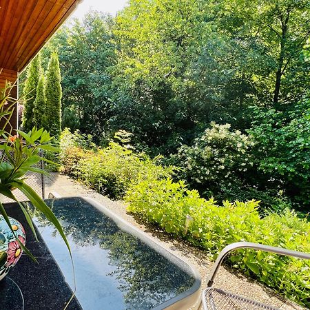 Vor Lauter Baeumen B&B Zorge Exteriör bild