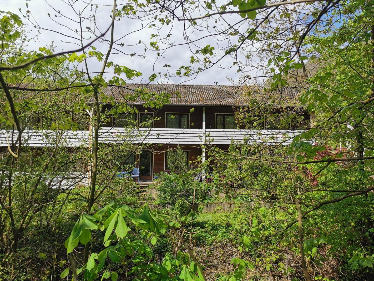 Vor Lauter Baeumen B&B Zorge Exteriör bild