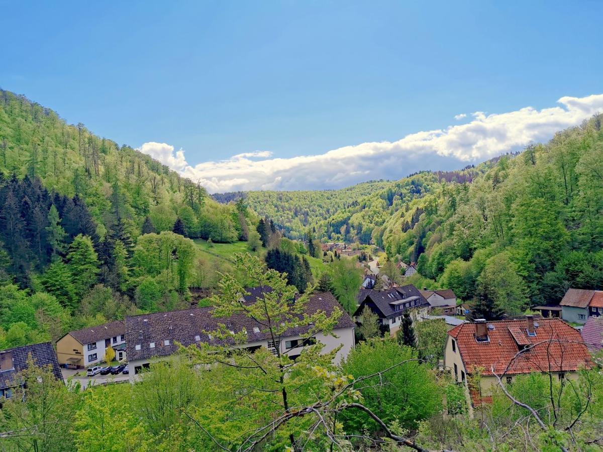 Vor Lauter Baeumen B&B Zorge Exteriör bild