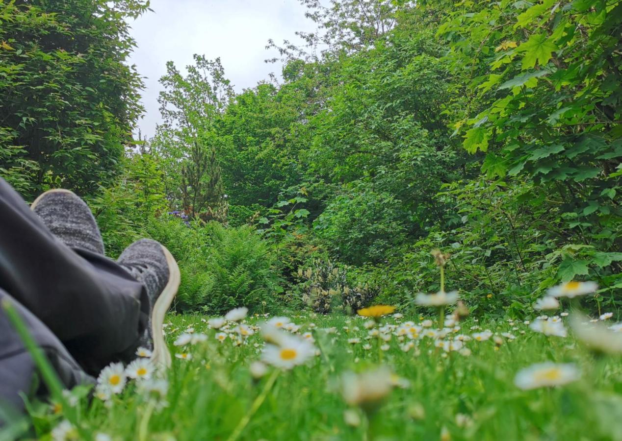 Vor Lauter Baeumen B&B Zorge Exteriör bild