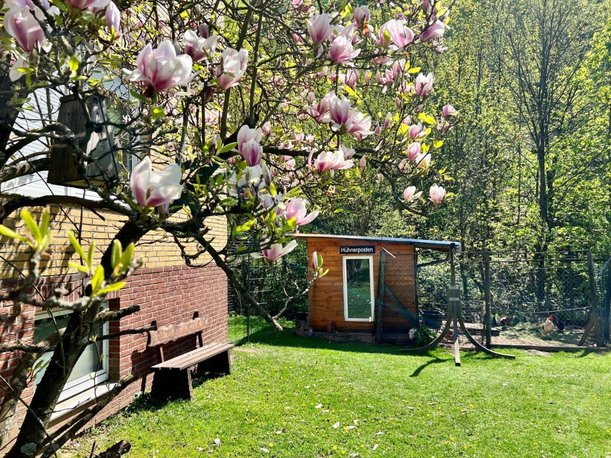 Vor Lauter Baeumen B&B Zorge Exteriör bild