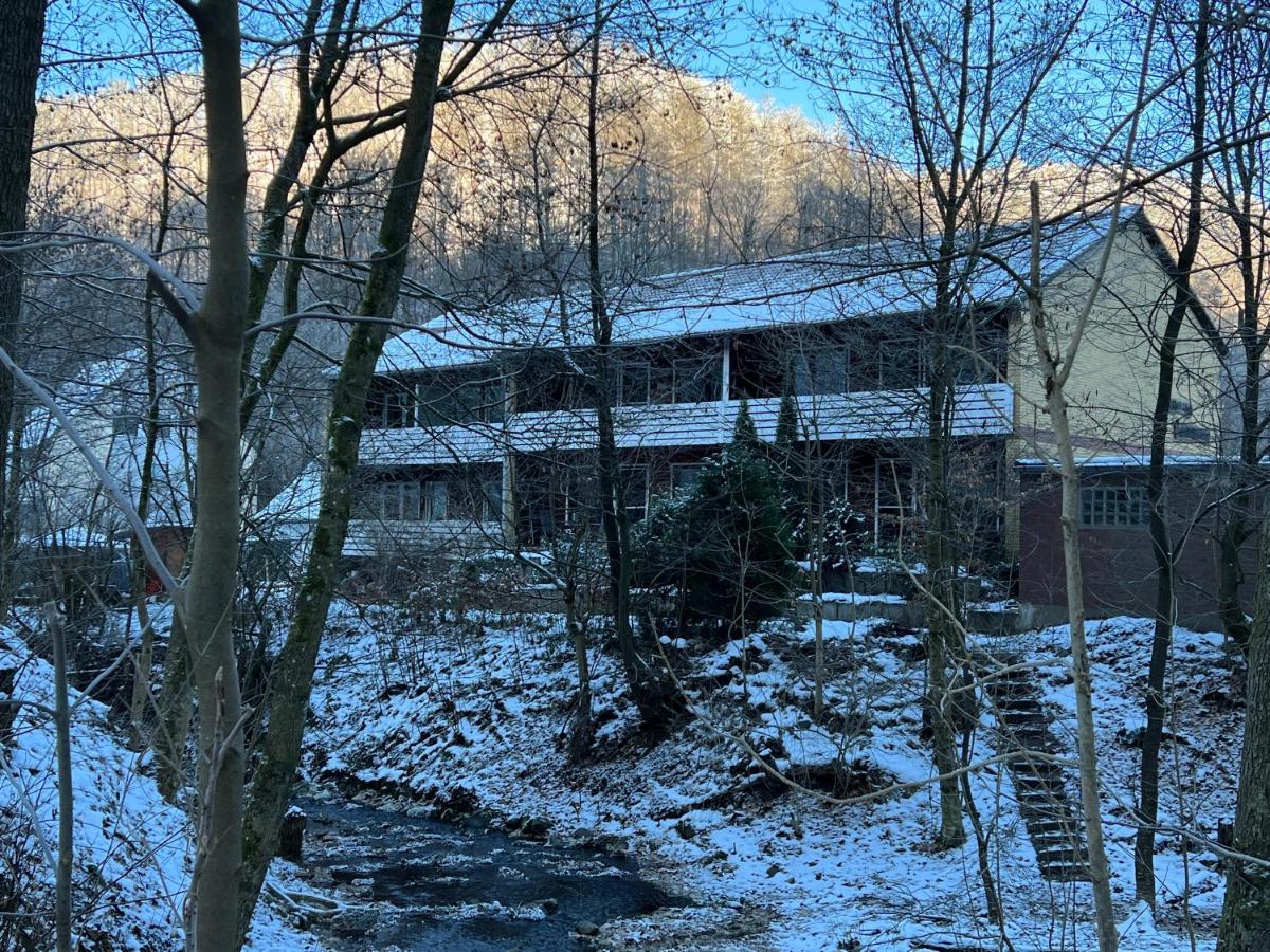Vor Lauter Baeumen B&B Zorge Exteriör bild
