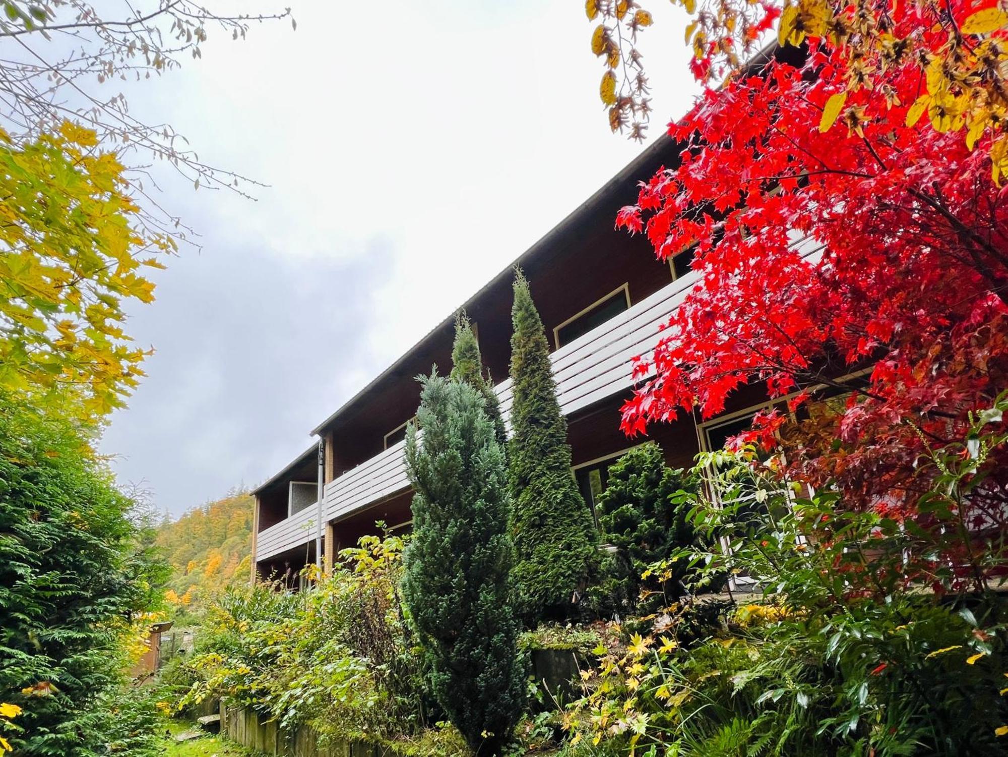 Vor Lauter Baeumen B&B Zorge Exteriör bild