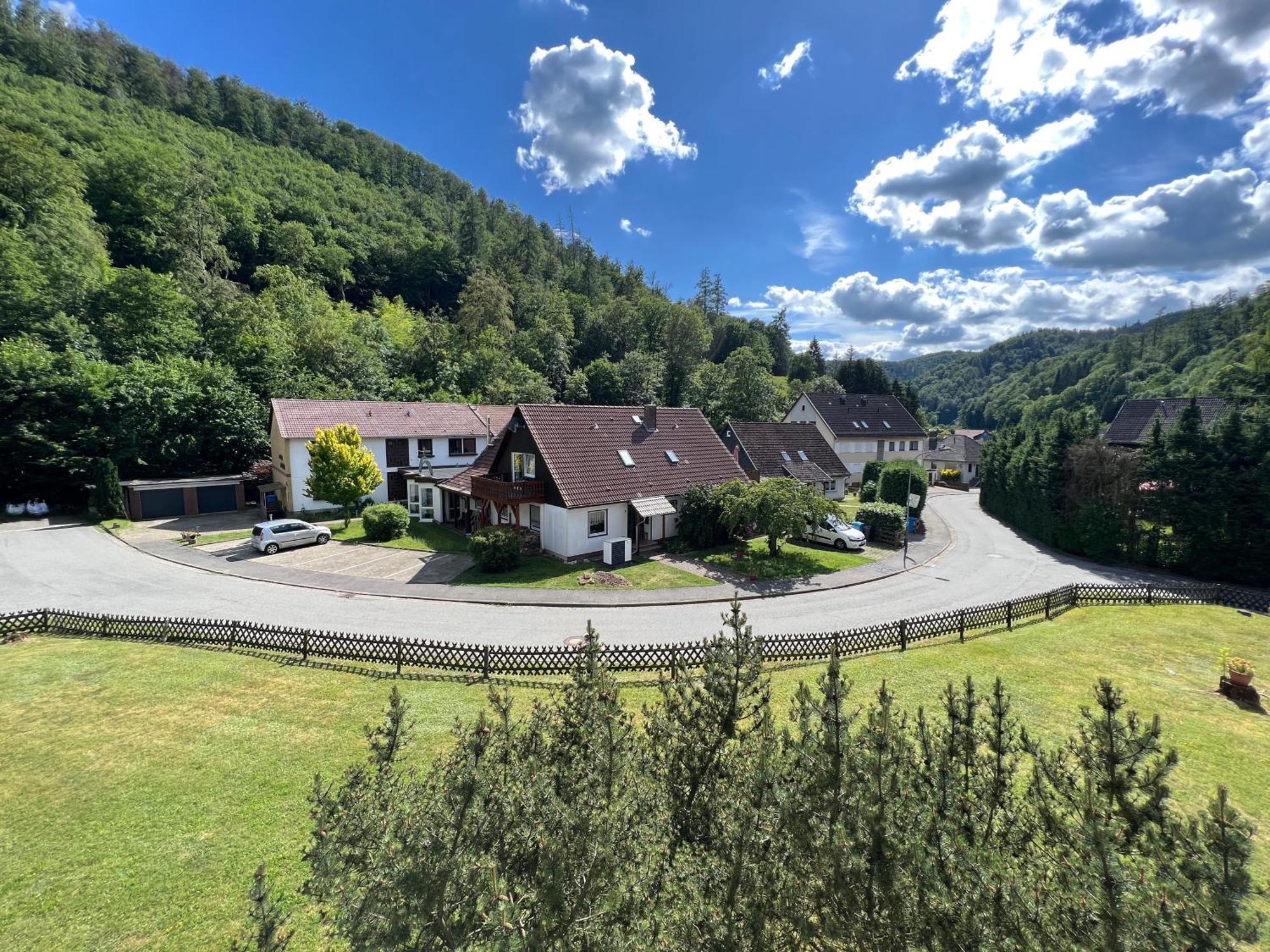 Vor Lauter Baeumen B&B Zorge Exteriör bild