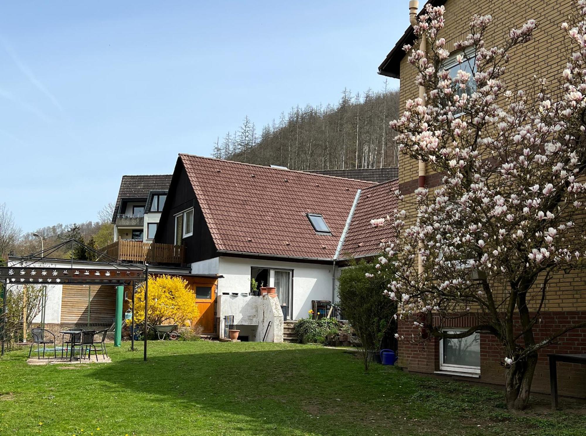 Vor Lauter Baeumen B&B Zorge Exteriör bild