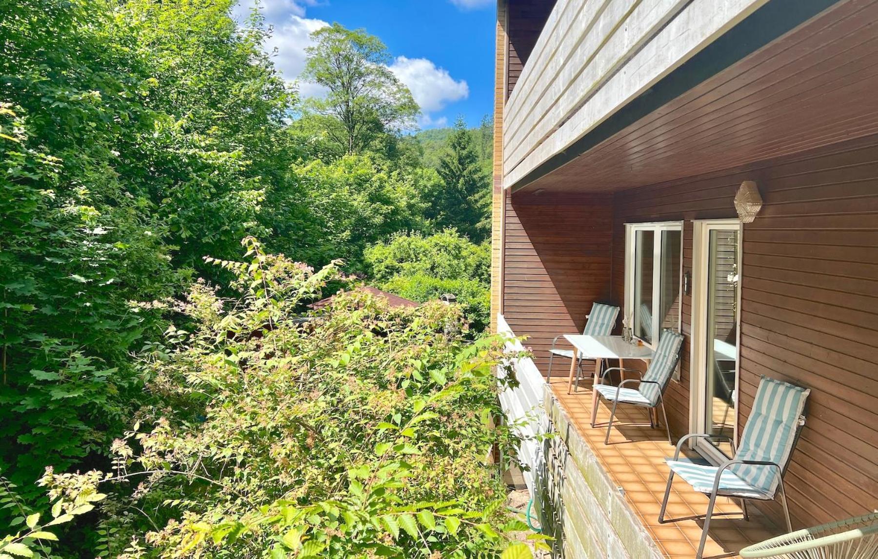 Vor Lauter Baeumen B&B Zorge Exteriör bild
