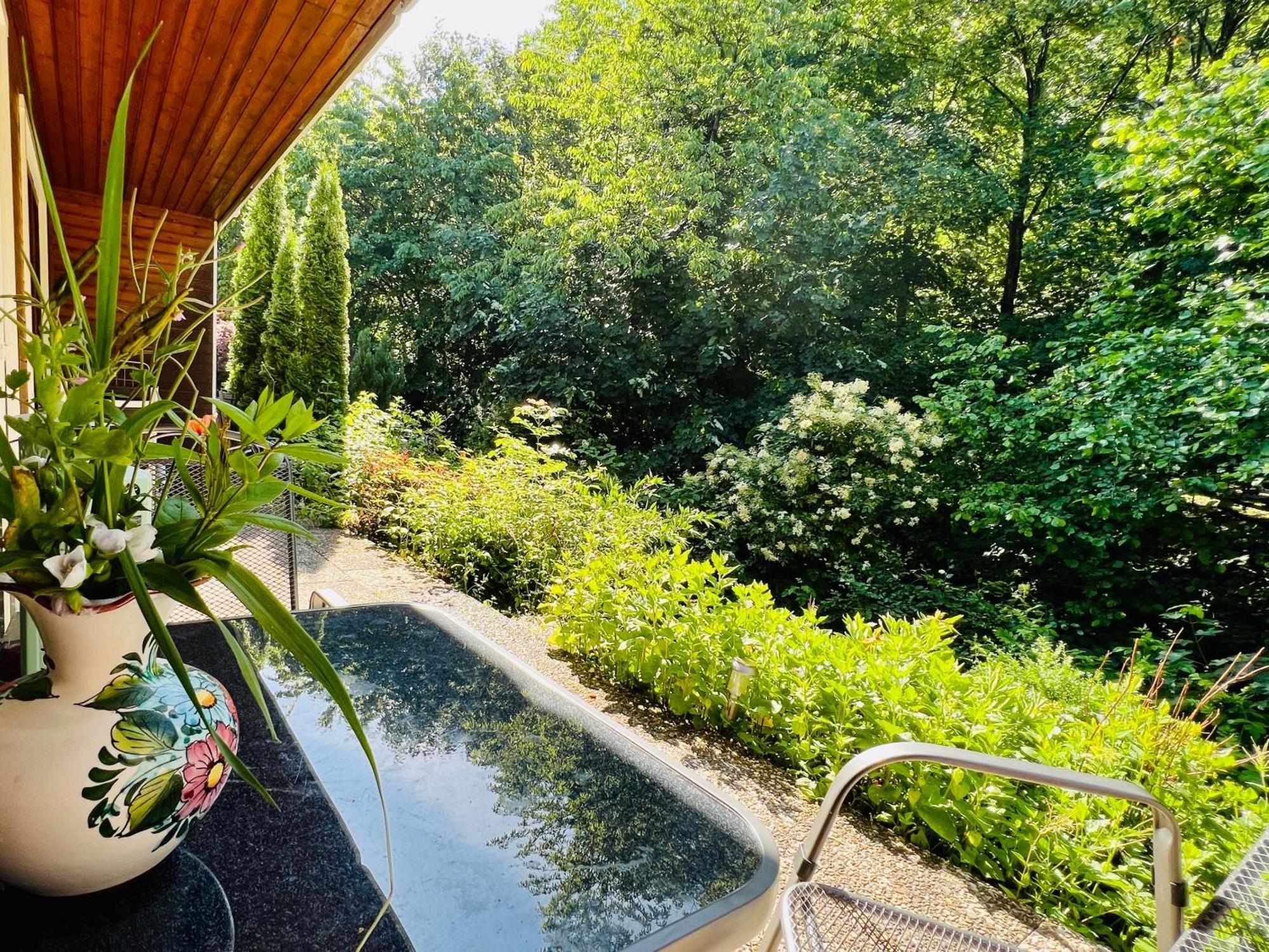Vor Lauter Baeumen B&B Zorge Exteriör bild