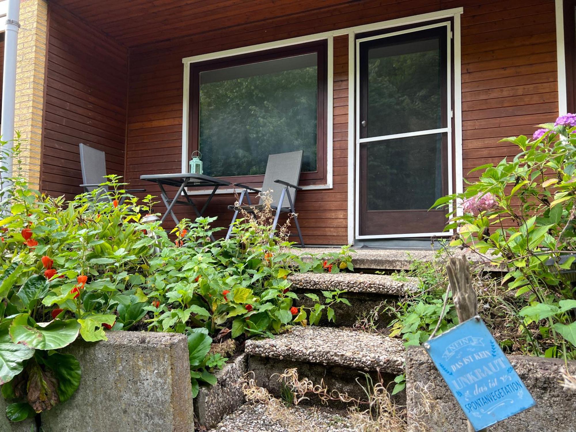 Vor Lauter Baeumen B&B Zorge Exteriör bild