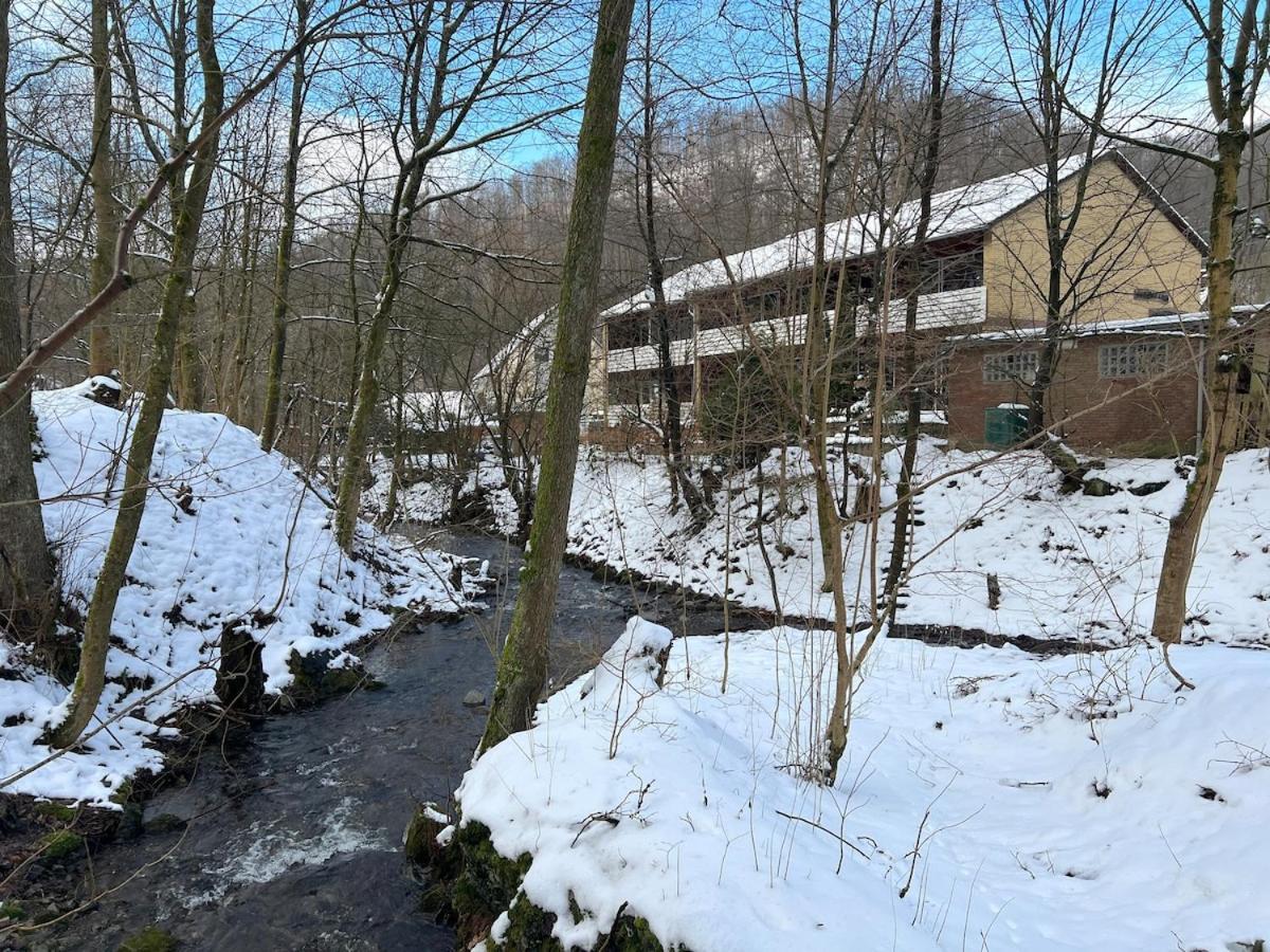 Vor Lauter Baeumen B&B Zorge Exteriör bild