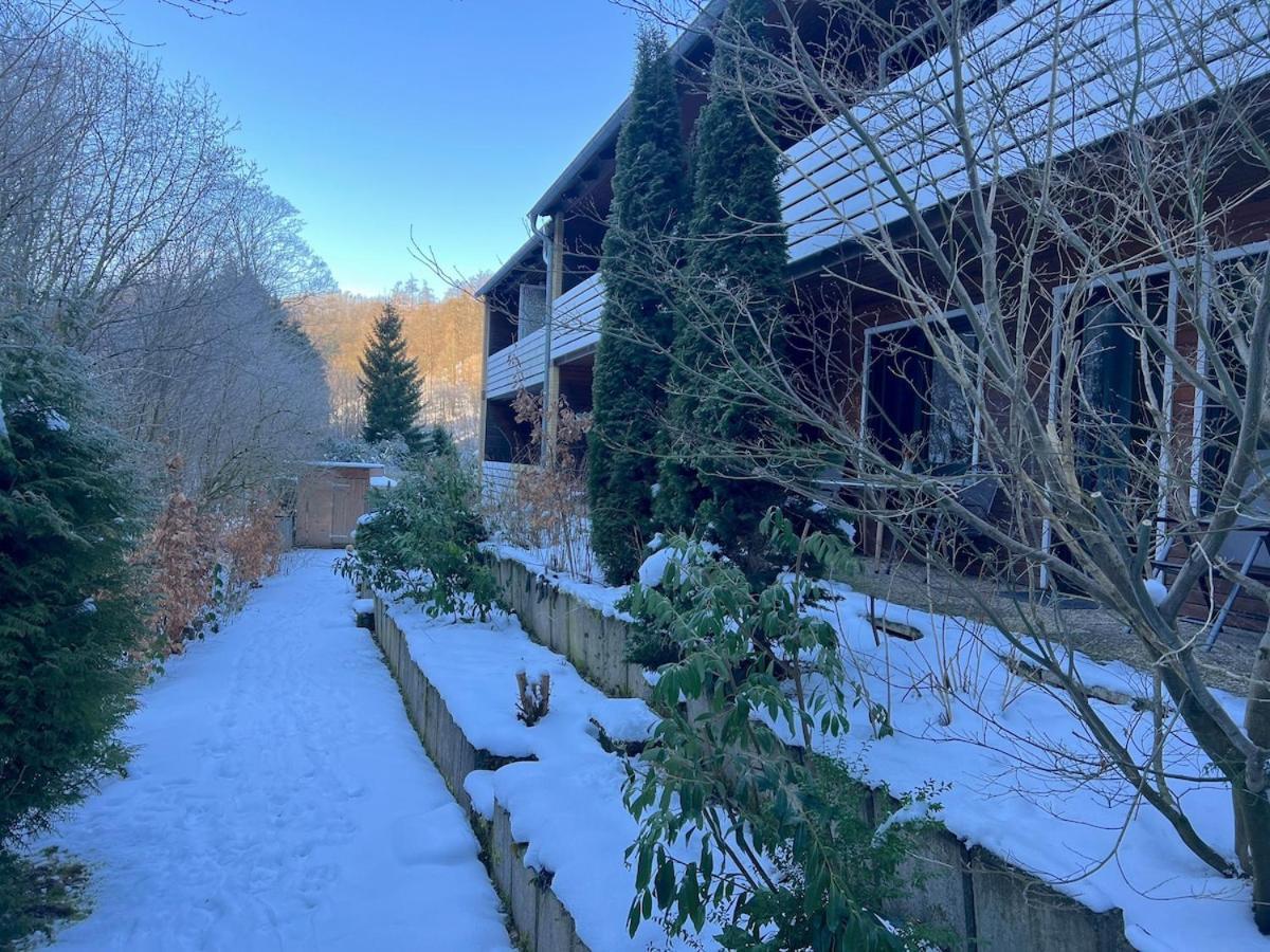 Vor Lauter Baeumen B&B Zorge Exteriör bild